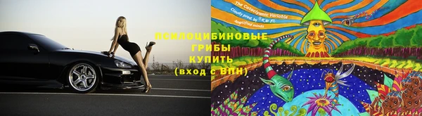 хмурый Алзамай