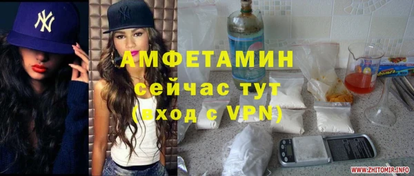 хмурый Алзамай
