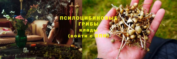 хмурый Алзамай
