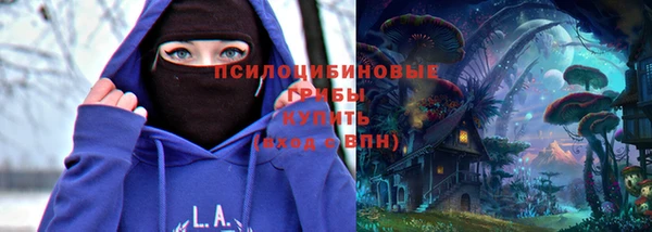 гашик Алексин