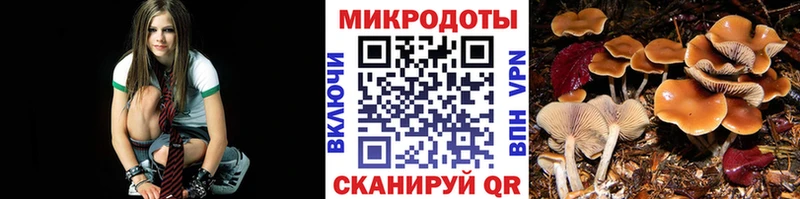 Псилоцибиновые грибы GOLDEN TEACHER  Мичуринск 