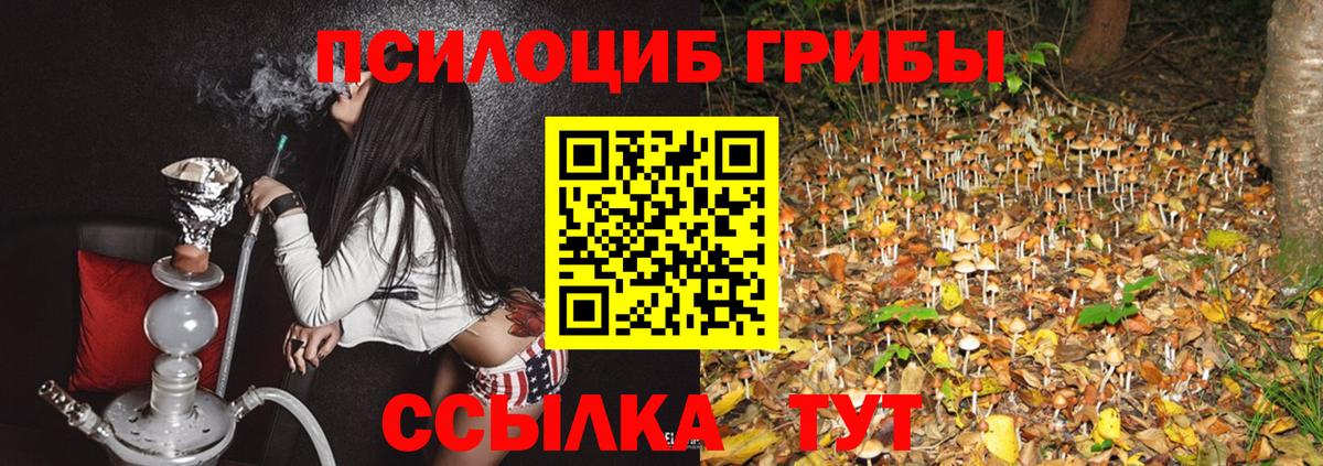 Галлюциногенные грибы MAGIC MUSHROOMS  Вход с VPN  Мичуринск 